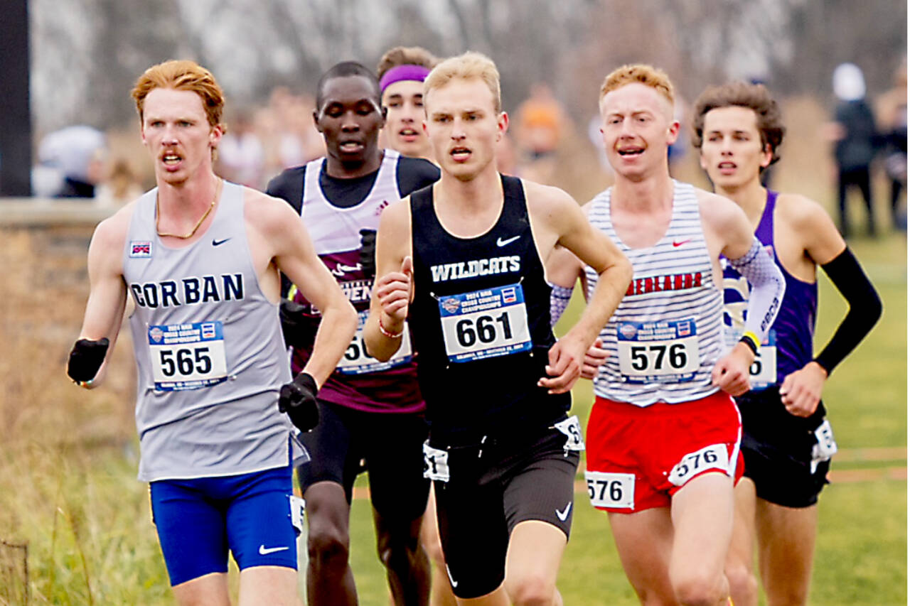 Corban College’s Jack Gladfelter, a Port Angeles High School graduate, runs in the NAIA nationals cross-country meet in Columbia, Mo., on Saturday. Gladfelter finished eighth in the nation. (Joe Gladfelter)