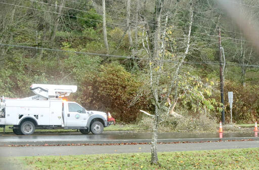 A mud slide brought trees down onto power lines on Marine Drive just each of the intersection with Hill Street on Monday. City of Port Angeles crews responded and restored power quickly. (Dave Logan/for Peninsula Daily News)