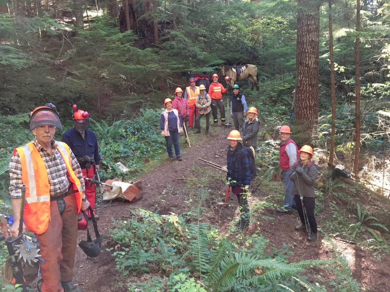 In 2017, BCHW certified sawyer Larry Baysinger, left, spent a day teaching, and getting chainsaw-certified, members of the new Mt. Olympus Chapter, enabling them to use a chainsaw to clear West End trails of fallen trees and branches. Sadly, due to diminished membership, the chapter is closing. A final potluck dinner will be held Dec 17, 6:30 p.m.,. at Black Diamond Community Center, 1942 Black Diamond Rd, Port Angeles. RSVP rainforestrider@gmail.com. (Photo by Sherry Baysinger)