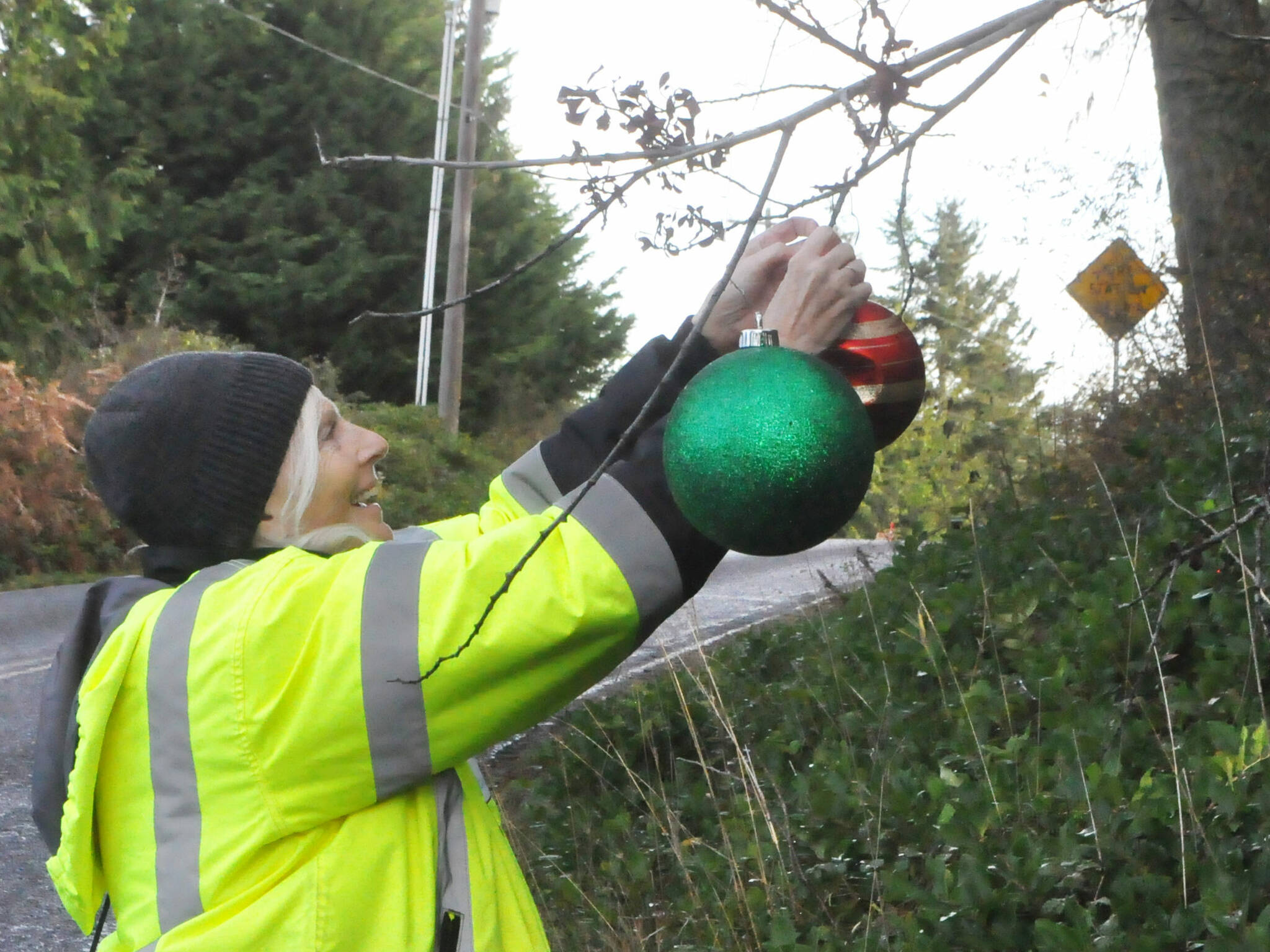 Debbie Long of Diamond Point places ornaments along Diamond Point Road for the area’s Holiday Lane tradition. (Matthew Nash/Olympic Peninsula News Group)