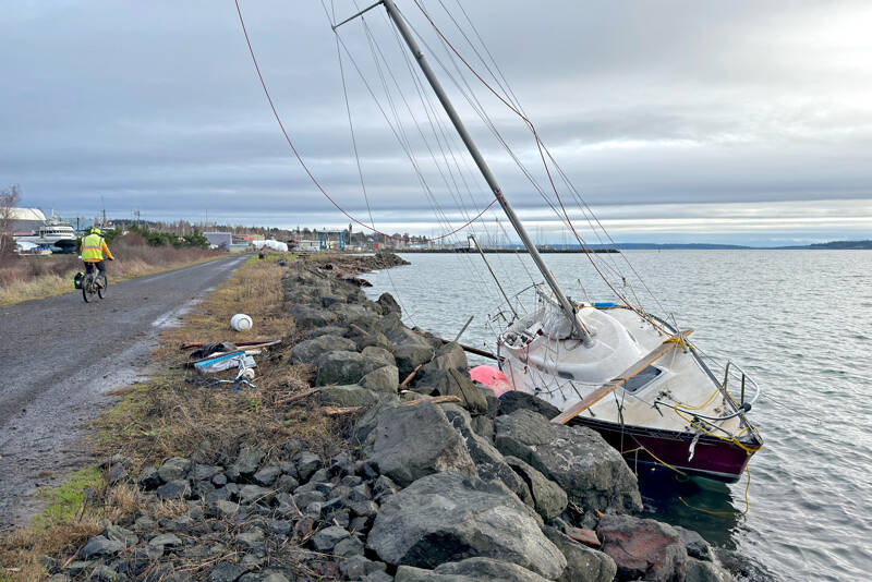 A cyclist rides by the 26-foot sloop that was dashed against the rocks along the Larry Scott Trail on Wednesday due to 30 mph winds from an atmospheric river storm buffeting the North Olympic Peninsula. A 29-year-old Port Townsend man, who was not identified, and his dog were rescued by a Coast Guard rescue swimmer from Coast Guard Air Station Port Angeles. (Steve Mullensky/for Peninsula Daily News)