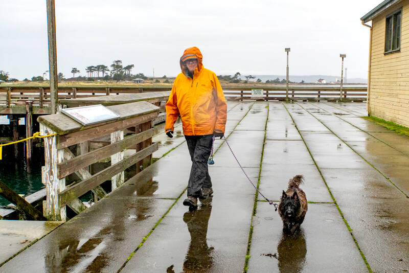 Will Barrett of Port Townsend and his cairn terrier Harris brave the cold and wet weather on Friday to walk around the Marine Science Center pier at Fort Worden State Park. (Steve Mullensky/for Peninsula Daily News)