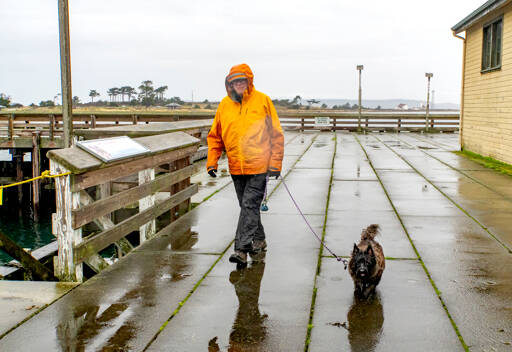 Will Barrett of Port Townsend and his cairn terrier Harris brave the cold and wet weather on Friday to walk around the Marine Science Center pier at Fort Worden State Park. (Steve Mullensky/for Peninsula Daily News)