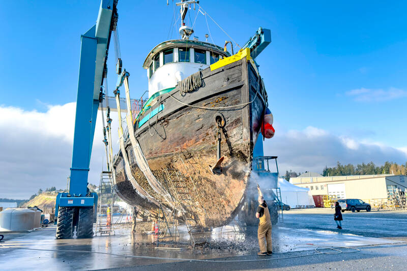 A 65-foot-long historic tug rests in the Port of Port Townsend Boat Haven Marina’s 300-ton marine lift as workers use pressure washers to blast years of barnacles and other marine life off the hull. The tug was built for the U.S. Army at Peterson SB in Tacoma in 1944. Originally designated TP-133, it is currently named Island Champion after going through several owners since the army sold it in 1947. It is now owned by Debbie Wright of Everett, who uses it as a liveaboard. The all-wood tug is the last of its kind and could possibly be entered in the 2025 Wooden Boat Festival.(Steve Mullensky/for Peninsula Daily News)