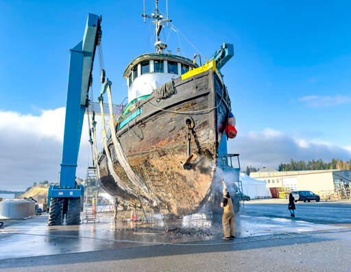 A 65-foot-long historic tug rests in the Port of Port Townsend Boat Haven Marina’s 300-ton marine lift as workers use pressure washers to blast years of barnacles and other marine life off the hull. The tug was built for the U.S. Army at Peterson SB in Tacoma in 1944. Originally designated TP-133, it is currently named Island Champion after going through several owners since the army sold it in 1947. It is now owned by Debbie Wright of Everett, who uses it as a liveaboard. The all-wood tug is the last of its kind and could possibly be entered in the 2025 Wooden Boat Festival.(Steve Mullensky/for Peninsula Daily News)