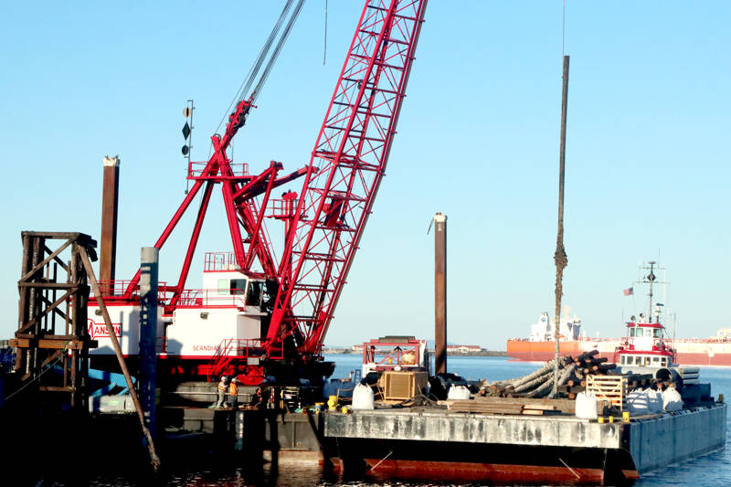 Black Ball Ferry Line is replacing the pilings on both sides of the slip that the MV Coho uses. The old pilings, which date to 1979, had deteriorated and needed to be replaced. The project will be completed before the Coho returns from its annual dry dock and engine maintenance in Anacortes. The ferry will resume its regular winter schedule on Feb. 19. (Dave Logan/for Peninsula Daily News)