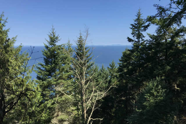 The state is looking to turn Miller Peninsula, a 2,800-acre undeveloped park east of Sequim, into a destination state park with a visitors center, cabins, picnic areas and more. Some locals oppose the move. (Warren Wilson)